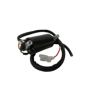 BOB. COIL P/S-EN125 2007-24