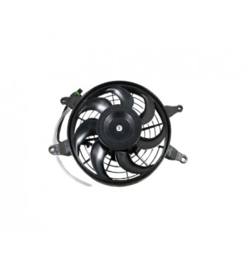 ABAN. RAD. BRP. ATV. 1000R. XMR.