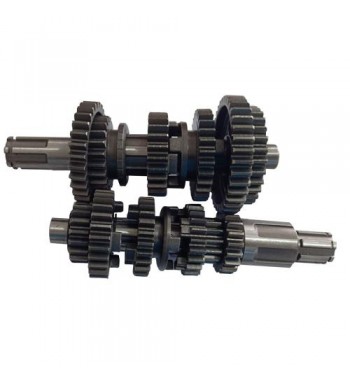 ARBOL PRIM/SEC. ITAL. DM150