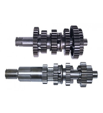 ARBOL PRIM/SEC. ITAL. FT180