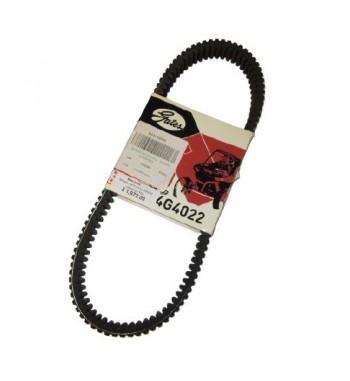 BANDA GATES POL. RZR800 ( 24G4022 )