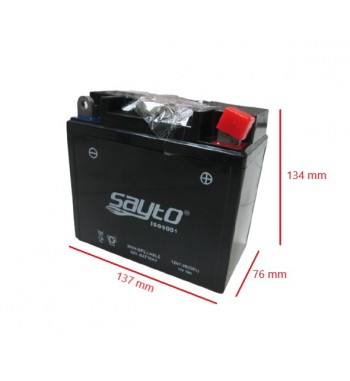 BAT. 12N7-3B SAYTO ( 137*76*134 ) GEL
