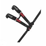 CIN. BRP. SSV. 4 PUNTOS PILOTO X3  FIJO